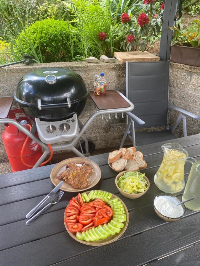 Ubytovani Pod Cimburkem Mestecko Trnavka Bagian luar foto
